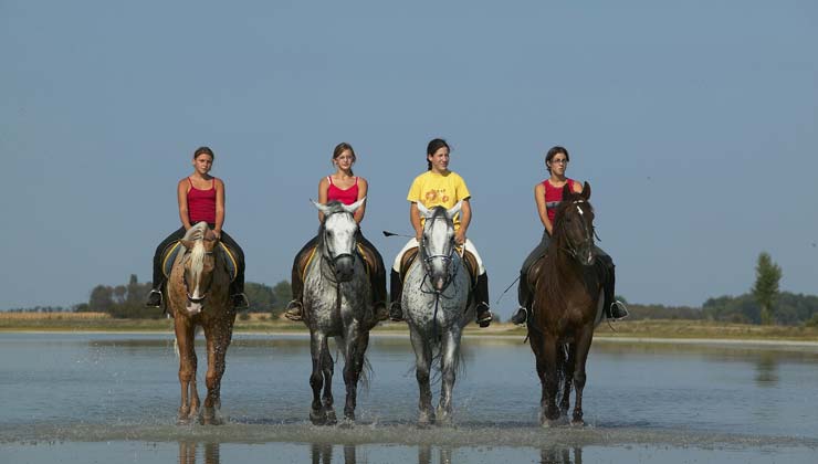 Sport rond de Neusiedler See